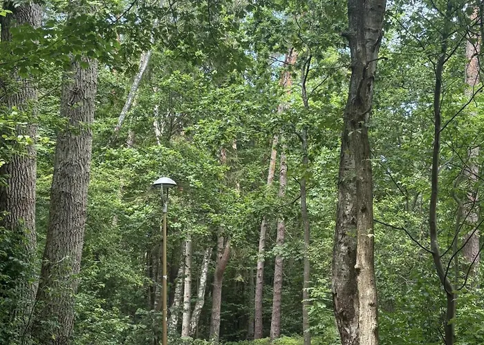 Cichy Zakatek 公寓