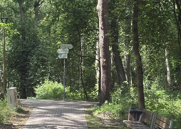 公寓 Cichy Zakatek 波波林